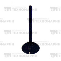 Впускной клапан BRP AU-09017I