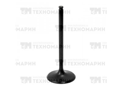 Впускной клапан BRP AU-09203I