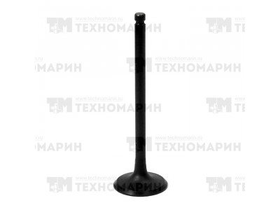 Впускной клапан Polaris AU-09193I