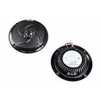 Акустика PYLE PLMRS43BL