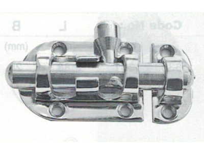 Задвижка 110 мм S0020-B0110