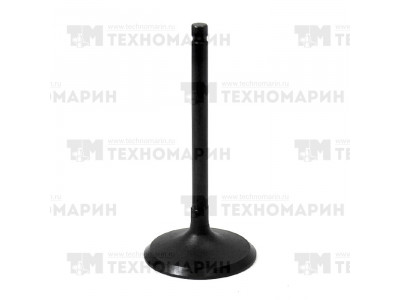 Впускной клапан Yamaha AU-09219I