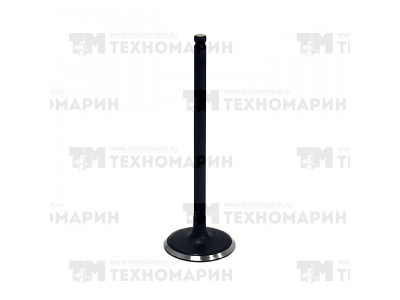 Впускной клапан Kawasaki/Suzuki AU-09027I