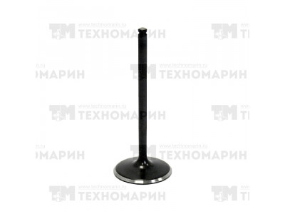 Впускной клапан Polaris AU-09190I