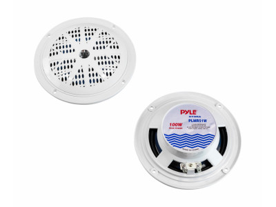 Акустика PYLE PLMR51W