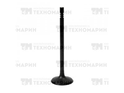 Впускной клапан Polaris AU-09195I