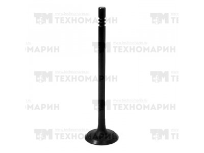 Выпускной клапан Polaris AU-09195E