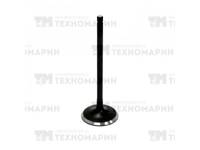 Впускной клапан Arctic Cat AU-09199I
