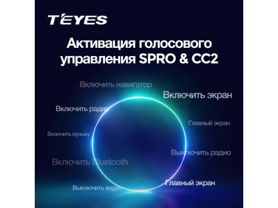 Голосовое управление Teyes