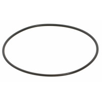 O RING (оригинальный артикул - O308876)